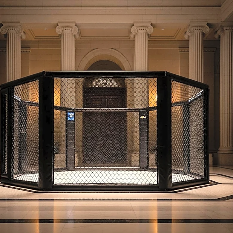 UFC Freedom 250 Makes History with Event at the White House