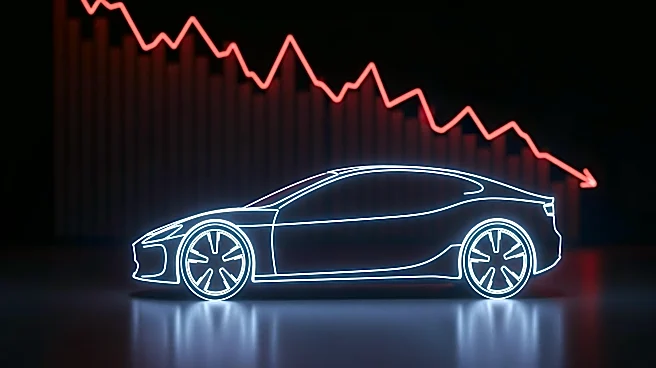 Nio CEO Warns of Decline in China's Auto Sales Amidst Company Growth