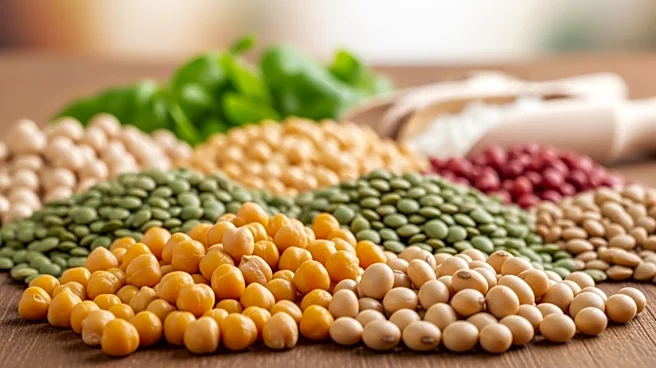 ADM Expands Plant-Protein Ingredient Portfolio to Meet Consumer Demand
