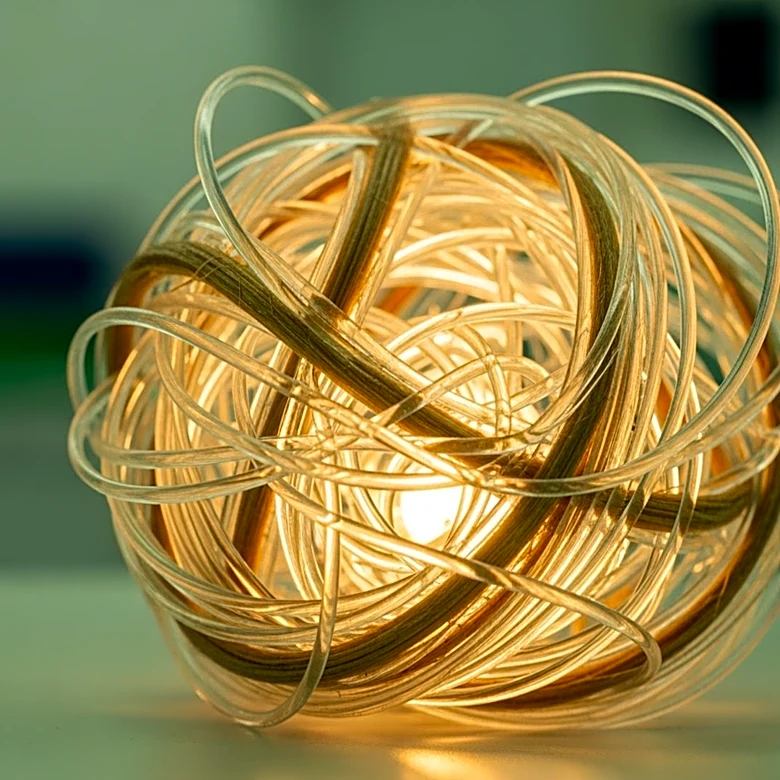 Scientists Develop New Method to Convert Lignin into Nylon Precursor, Reducing Carbon Footprint