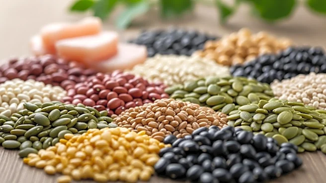 ADM Expands Plant-Protein Portfolio to Meet Rising Consumer Demand
