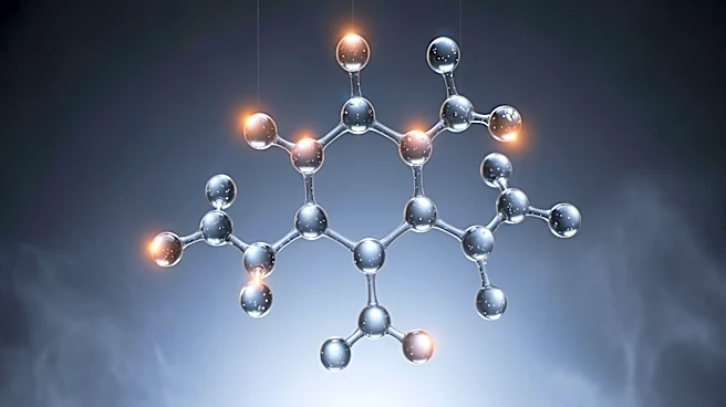 Efforts to Develop Safer Ibogaine Derivatives Highlight Complex Pharmacology