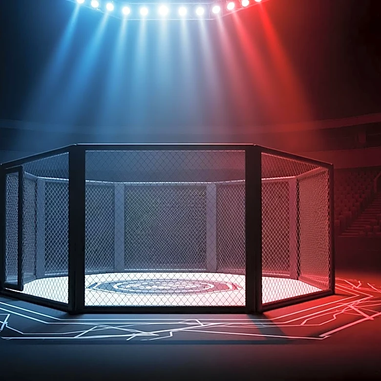 Joe Rogan Declares UFC Freedom 250 as Greatest Night in MMA History