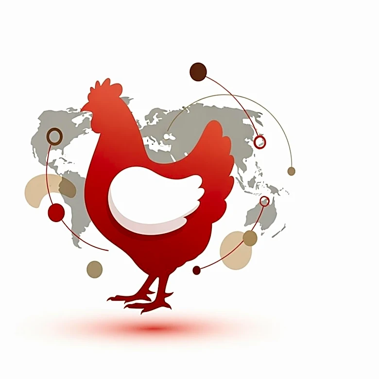 KFC Unveils Comprehensive Rebrand to Enhance Global Presence