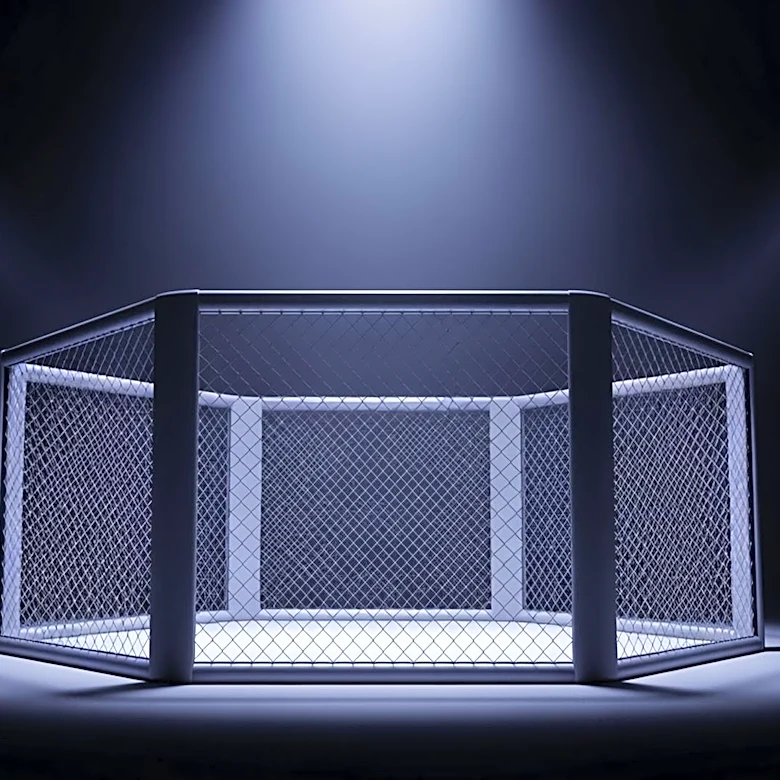 Josh Hokit Sparks Controversy with Comments on Michelle Obama at UFC Event