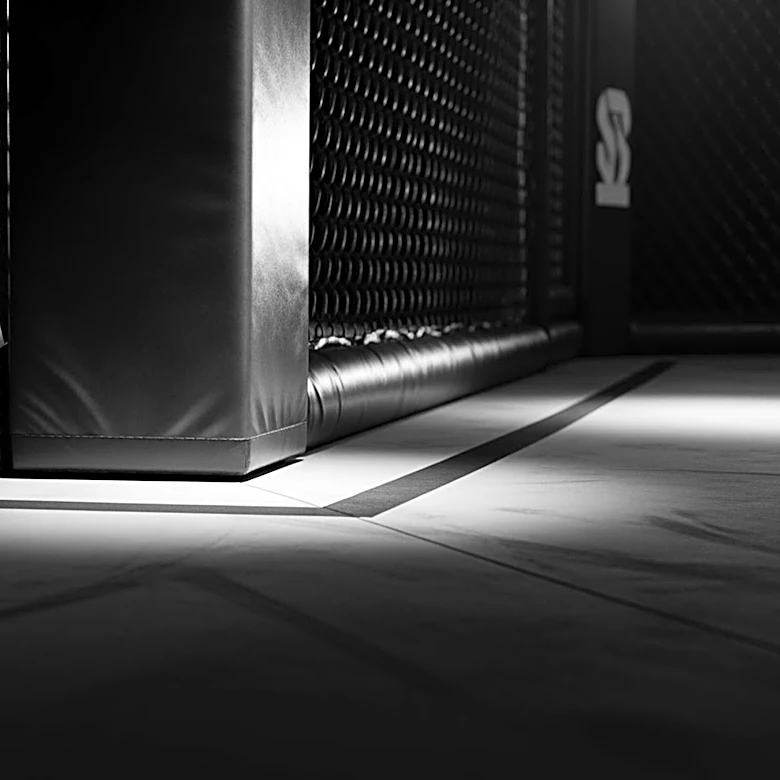 UFC Champion Sean Strickland Removed from Fan Fest After WWE Ring Incident