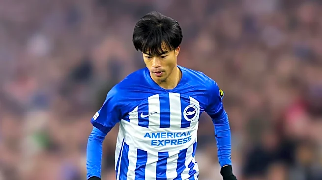 Brighton Signs Costinha to Bolster Squad for European Campaign