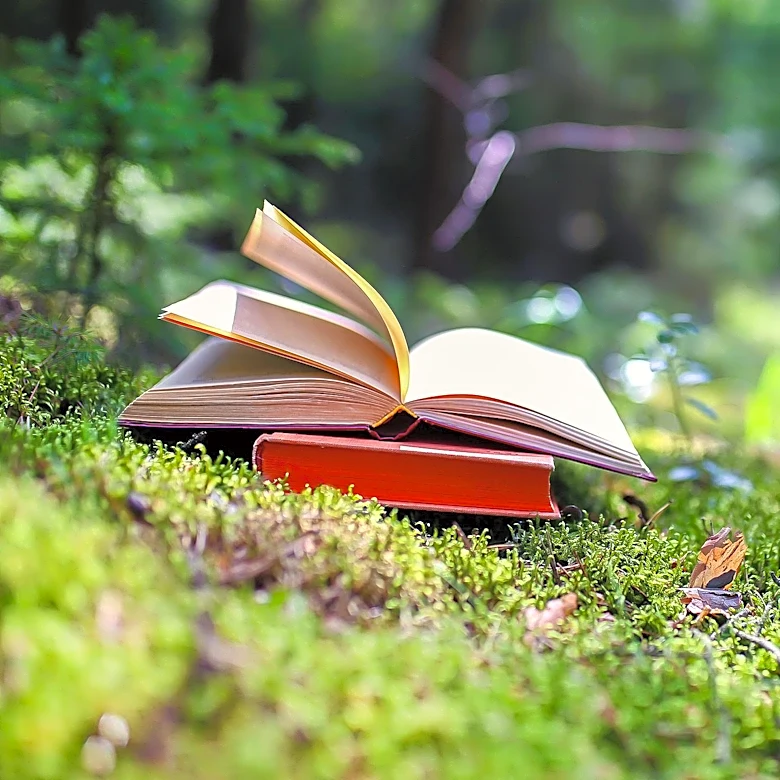 Poet Joanne McNeil Hayes Launches Words in the Woods Series in Vermont