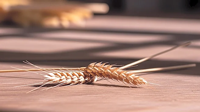De Cecco Acquires RossoGargano to Enhance Production and Margins