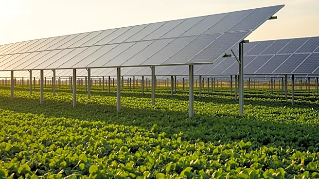 Agrivoltaics Gains Momentum as a Sustainable Solution for Agriculture and Energy