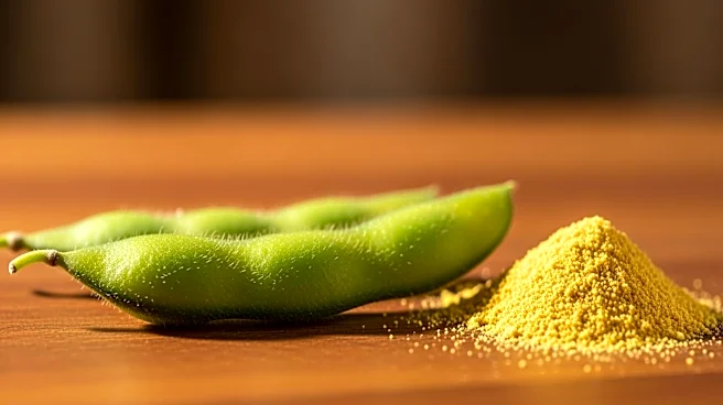 ADM Expands Plant-Protein Portfolio to Meet Growing Consumer Demand