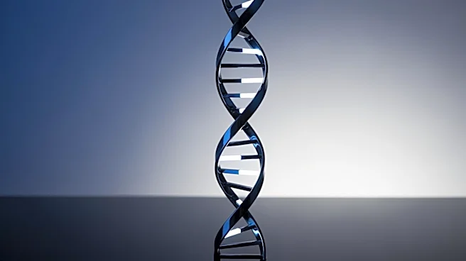 GeneDx Appoints Mark Gardner as President to Drive Growth in Genomic Medicine