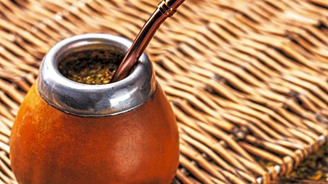 Yerba Mate Becomes Cultural Symbol for World Cup Fans in Kansas City