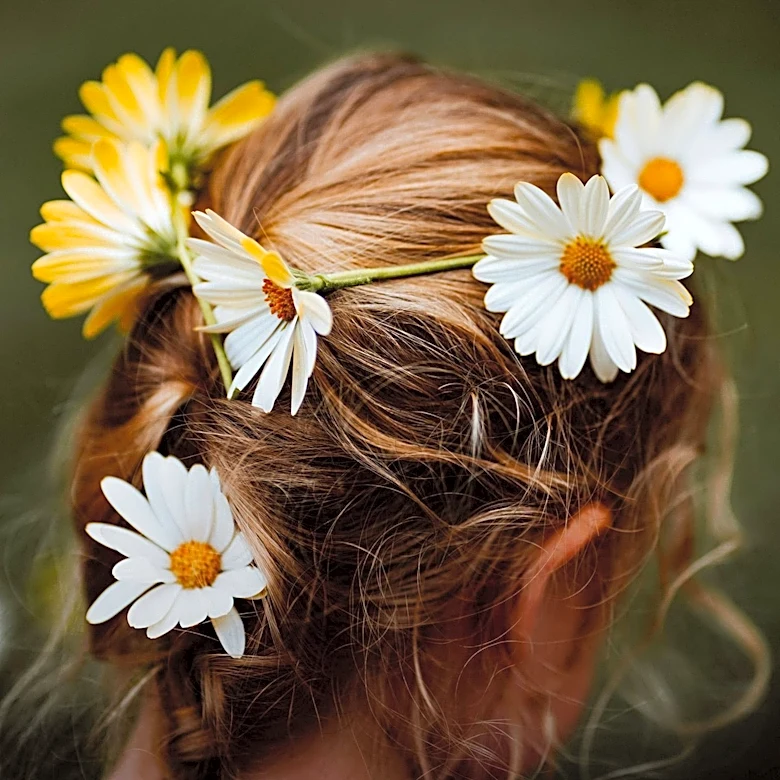 American Swedish Institute Celebrates Summer Solstice with Midsommar Festivities
