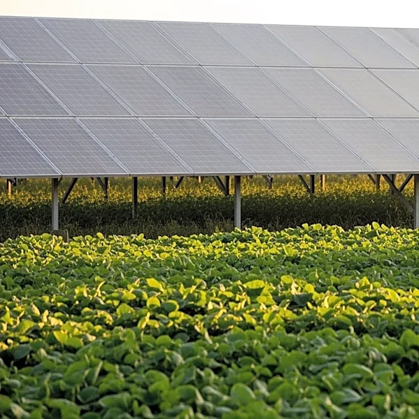 Agrivoltaics: A Sustainable Solution for Energy and Agriculture