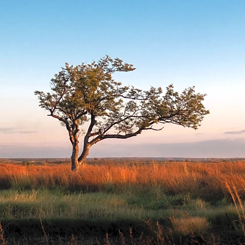 Nature Saskatchewan Hosts Bi-Annual Event in Swift Current to Celebrate Rangelands