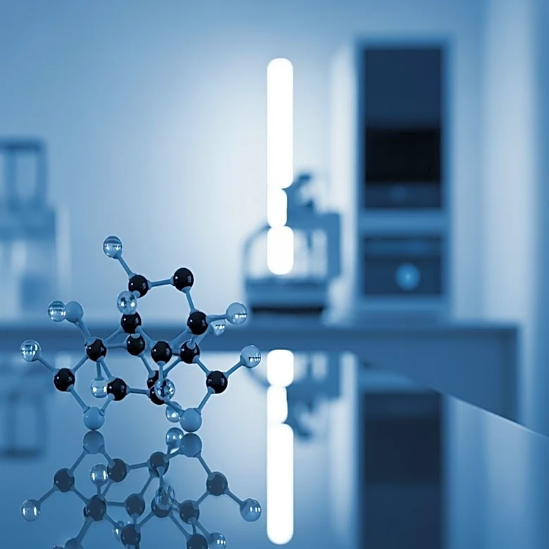 Latus Bio Appoints Bethany Mancilla as Chief Business Officer Amid Clinical Advancements