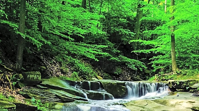 New York's Hidden Waterfalls Offer Scenic Summer Escapes for Hikers