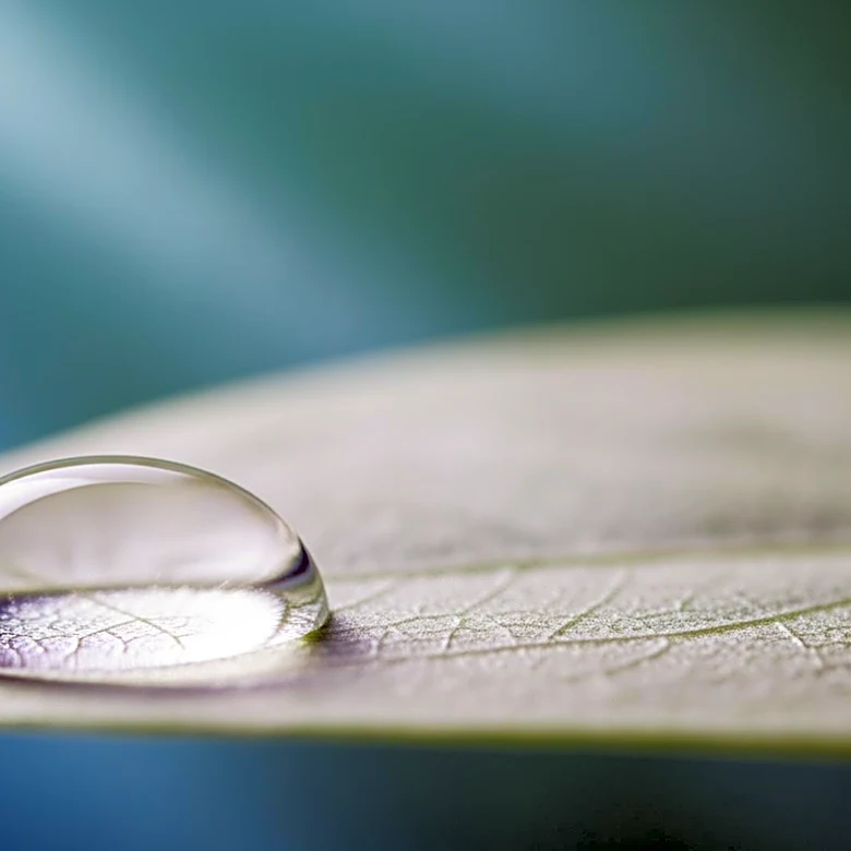 Gattefossé Develops Silkaress for Enhanced Skin Resilience Against Environmental Stressors