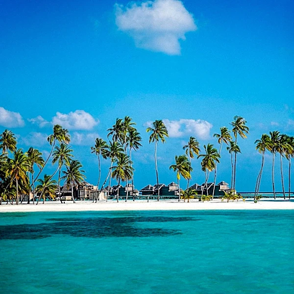Zemi Miches Punta Cana Resort Unveils Exclusive Oceanfront Bungalows for Elevated Caribbean Travel