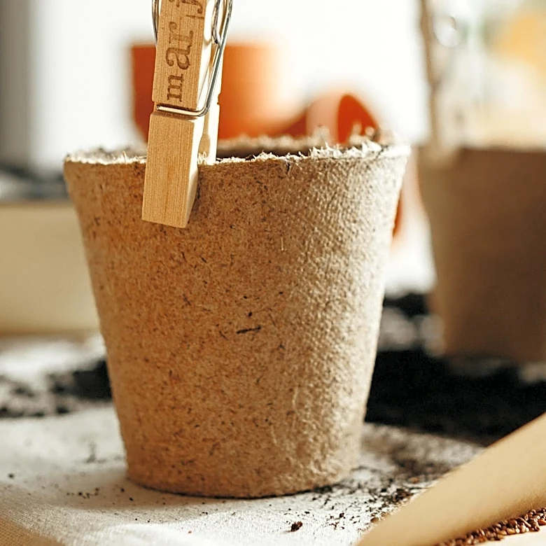 Seed Saving Workshop Scheduled at Ferman Gregory Agriculture Center