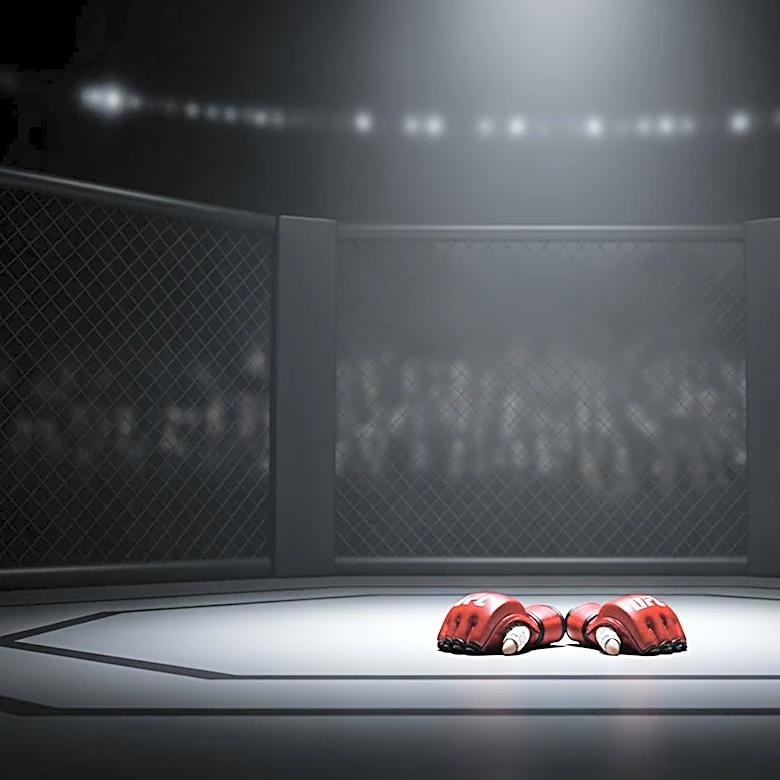 Josh Hokit Faces Backlash After Controversial Comment at UFC Freedom 250