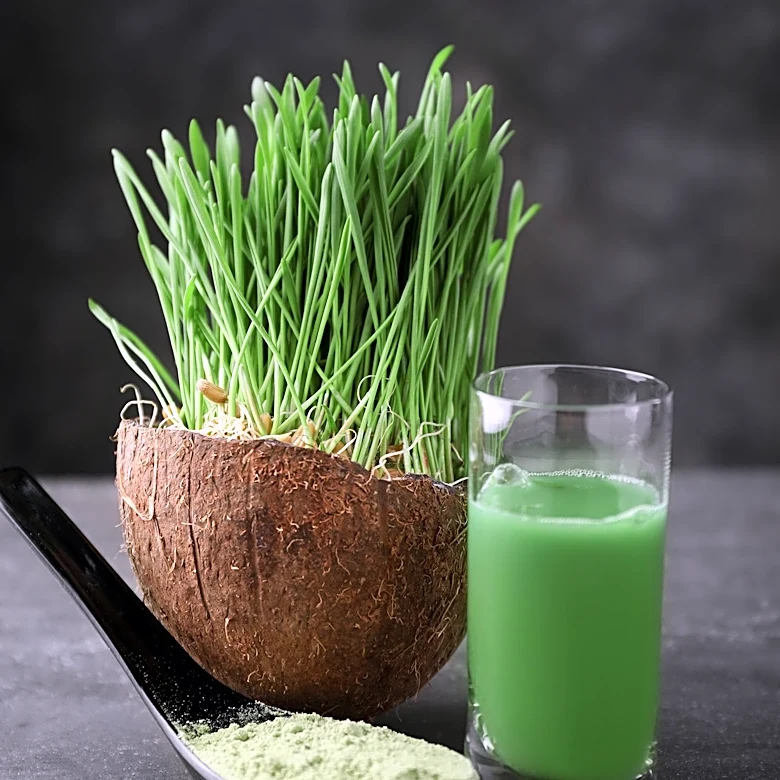 Chlorophyll Supplements: Uncertain Benefits for Human Health