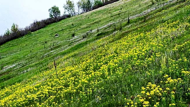 Arcadia Dunes Hosts Annual Dune Wildflower Hike with Spectacular Lake Michigan Views