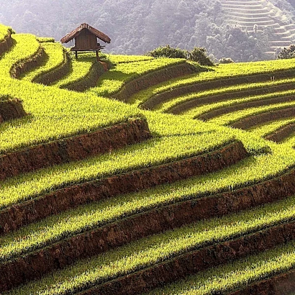 Traditional Farming Practices Highlighted for Sustainable Land Use and Cultural Preservation