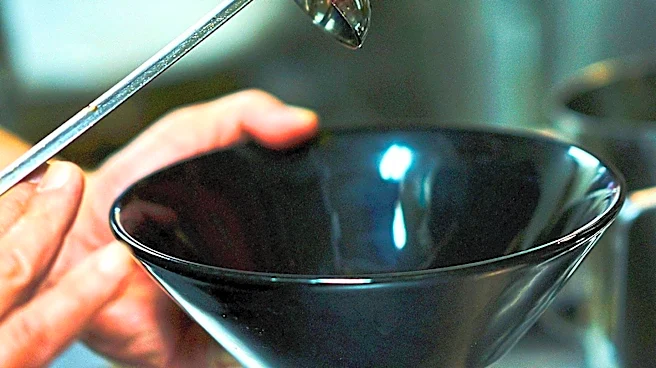 Professional Chefs Critique Single-Use Kitchen Gadgets, Recommend Versatile Alternatives