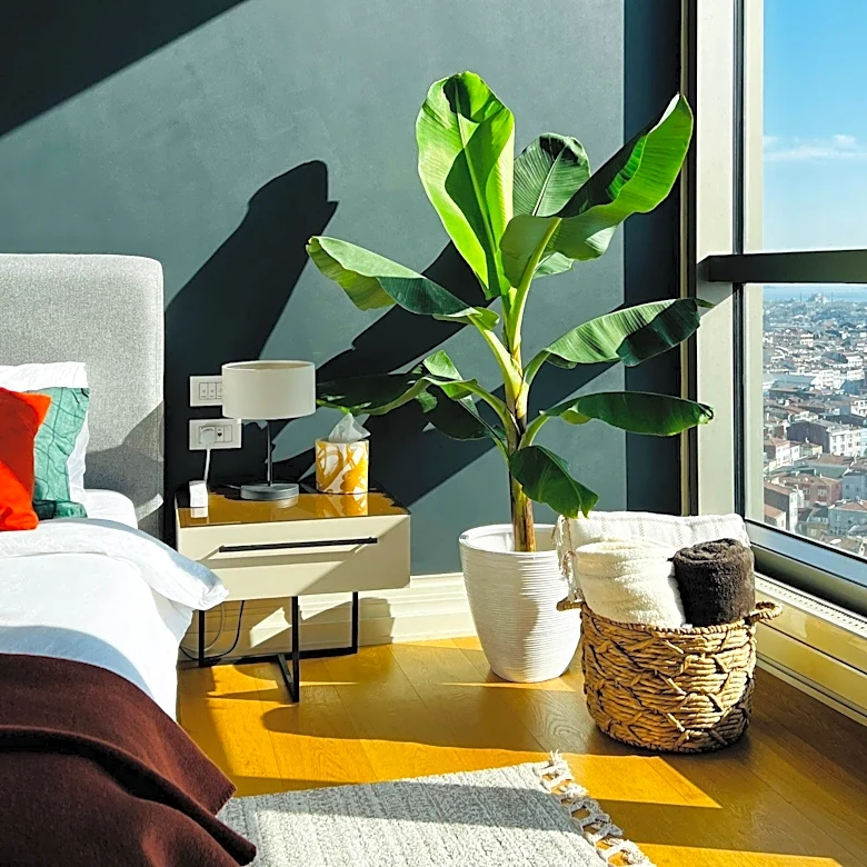 HGTV Star Taniya Nayak Transforms Boston Penthouse with Design Expertise