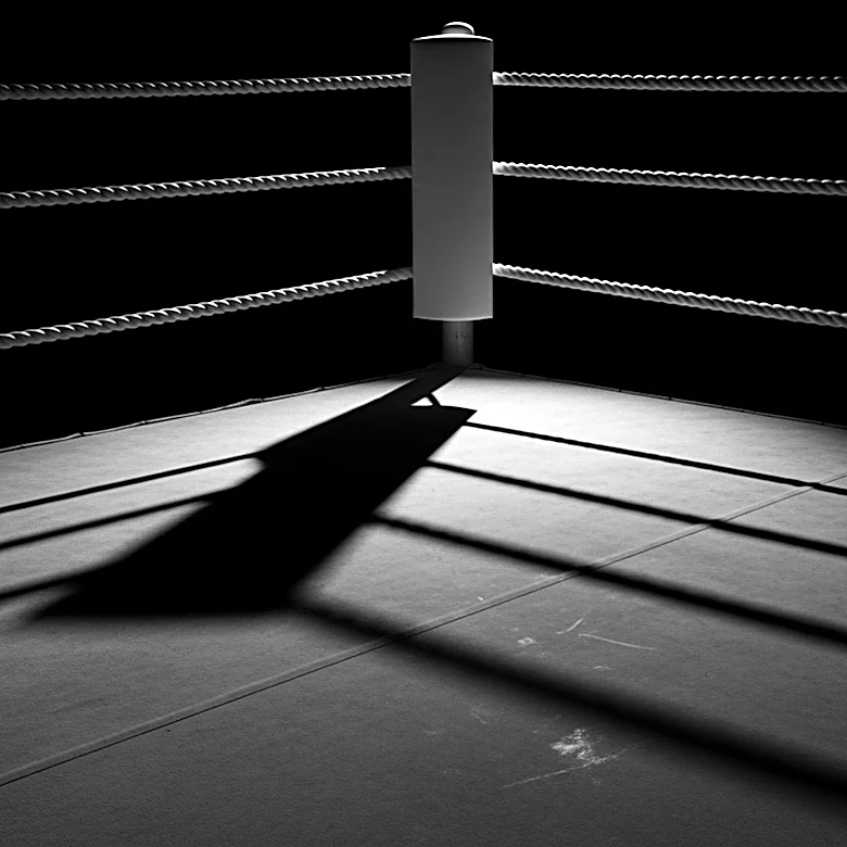 Controversial Stoppage in Usyk vs. Verhoeven Fight Upheld by Commission