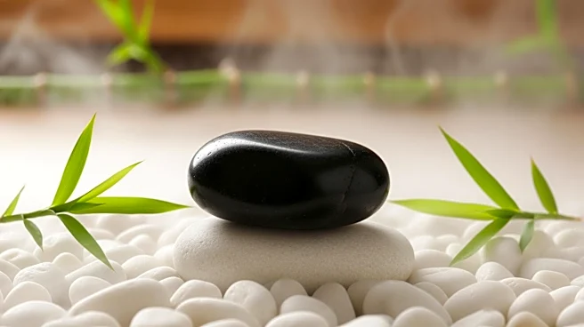 Allure Thai Spa Expands Amidst India's Wellness Boom, Targets Urban Stress Relief