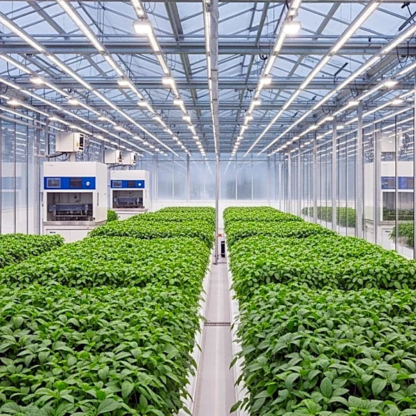 USDA Allocates $125 Million for Agricultural Research Facility Upgrades