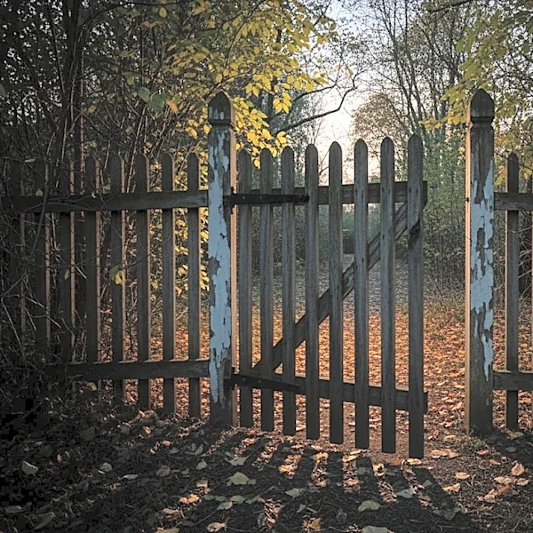 Mike Pennel Linked to Woman Found Dead on Former Property