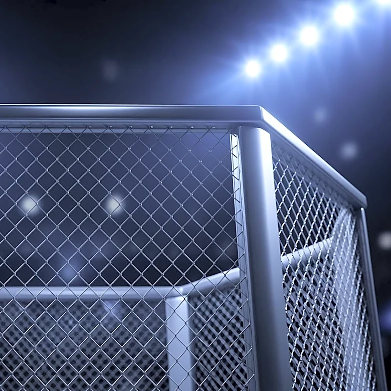 UFC Freedom 250 at White House Draws 17 Million Viewers Across U.S. and Latin America