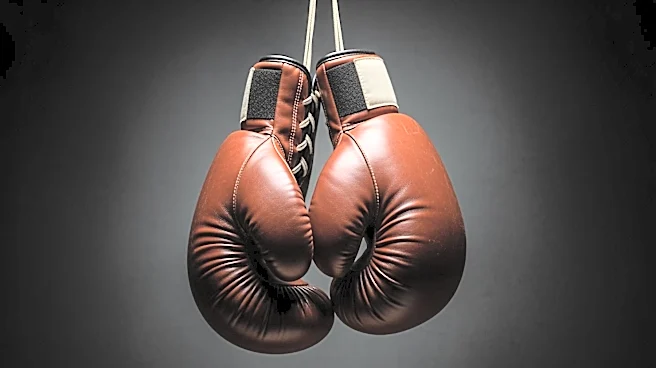 History Channel Revisits Joe Louis and Max Schmeling's Iconic Fights in New Documentary