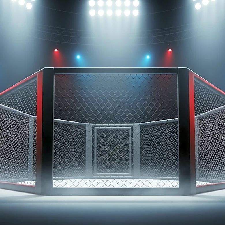 Joe Rogan Praises UFC Freedom 250 as Greatest Event in Combat Sports