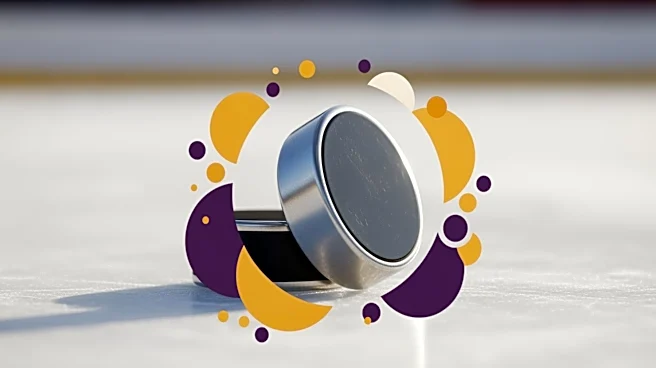 LA Kings Celebrate Juneteenth with Educational Hockey Camp