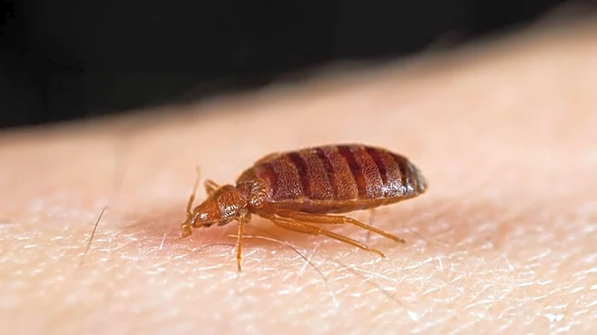 US States with Highest Bed Bug Risk Revealed, Michigan Tops the List