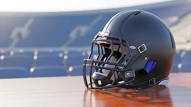 CSR Weekend Warriors: Open Thread for Panthers Fans
