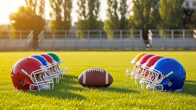 NFL Players and Minnesota Senate President Host Football Clinic for North Minneapolis Kids