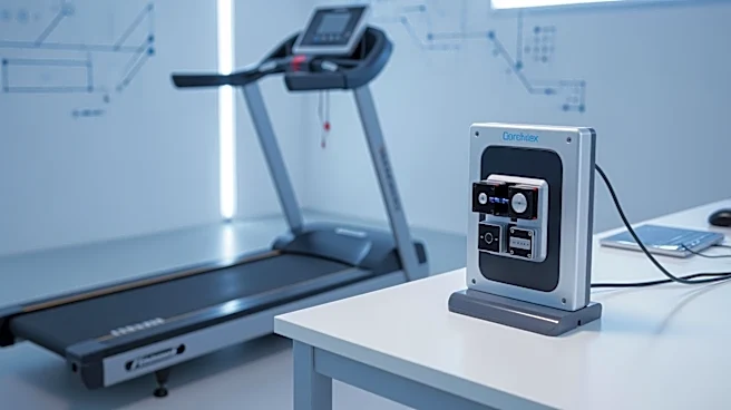 Veteran Athletes Extend Careers with Advances in Sports Science