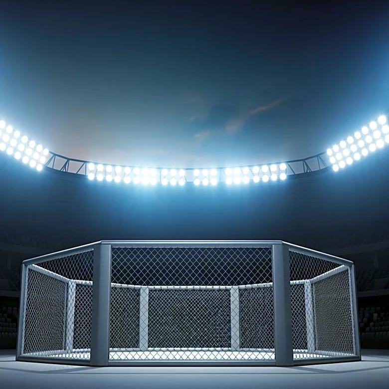 UFC Freedom 250 Sets Record Viewership Despite Falling Short of Super Bowl Numbers