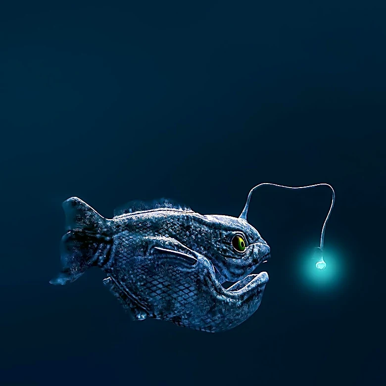 High-Tech Innovations in Fishing Spark Debate Among Anglers