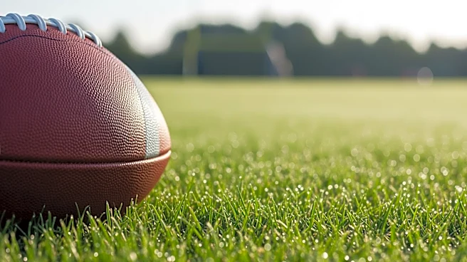 Green Bay Packers' Chris McClellan Shows Promise Ahead of Training Camp