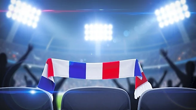 French World Cup Fan Gains Viral Fame After TV Appearance