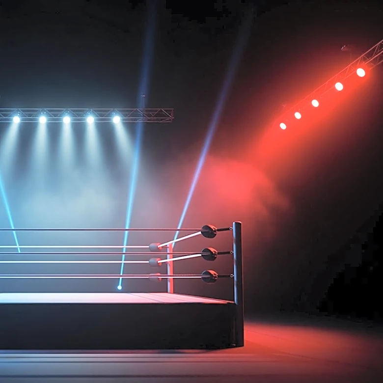 WWE Stars Thrive in TKO Era with New Creative Direction