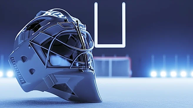 Anaheim Ducks Evaluate Goaltending Depth Amidst Player Movements