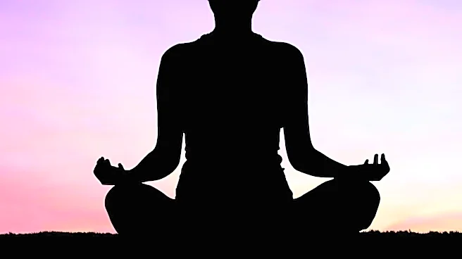 International Yoga Day Celebrated Globally with Mass Events